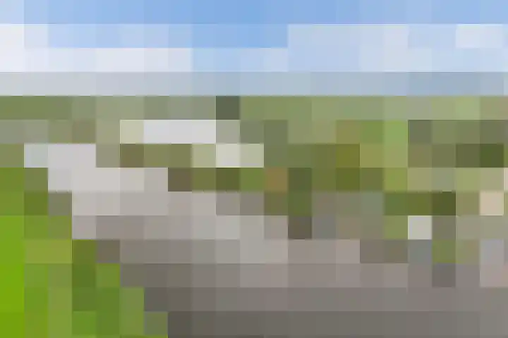 Lemsterweg 10 Langelille thumbnail 30