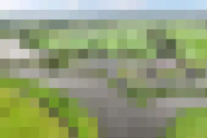 Lemsterweg 10 Langelille thumbnail 31