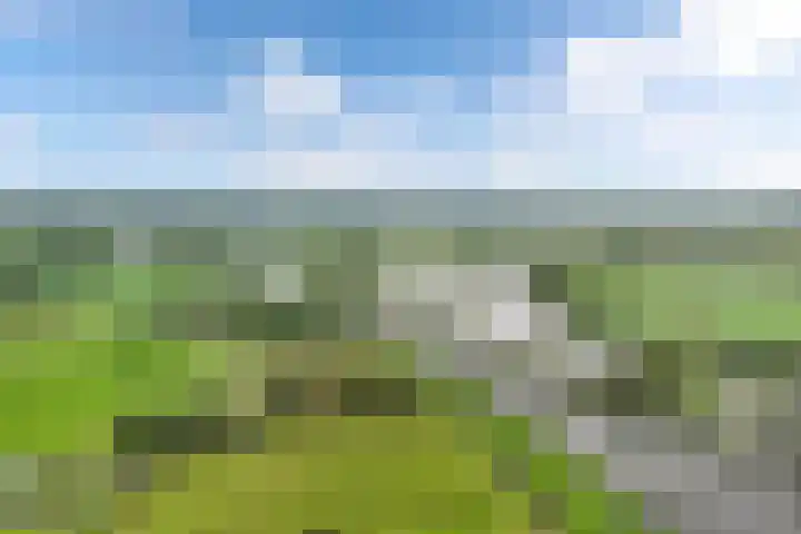 Lemsterweg 10 Langelille thumbnail 32