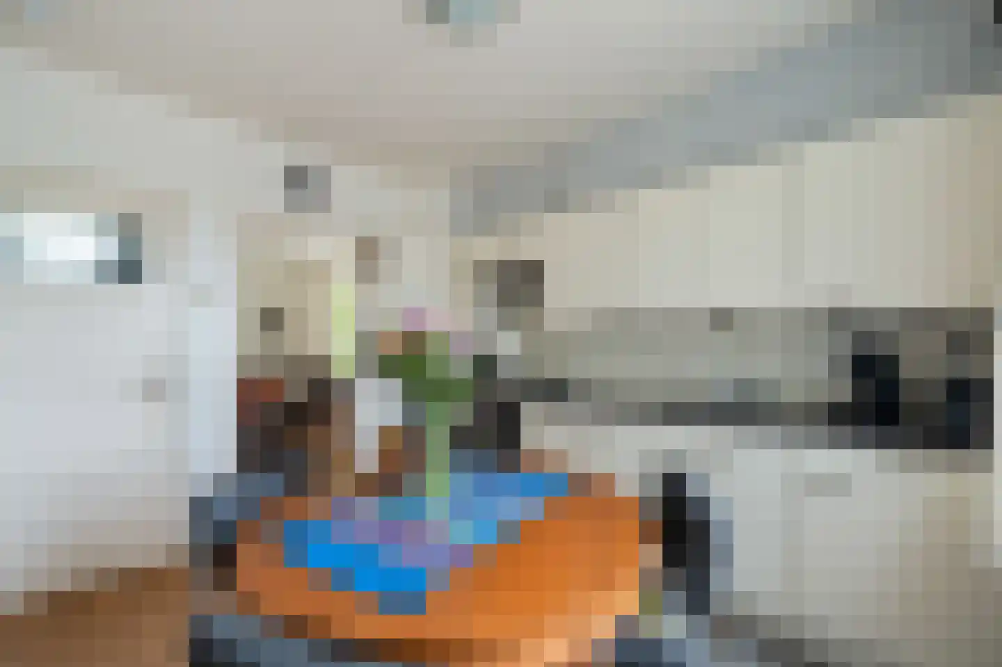 Lemsterweg 30 C Rutten thumbnail 17