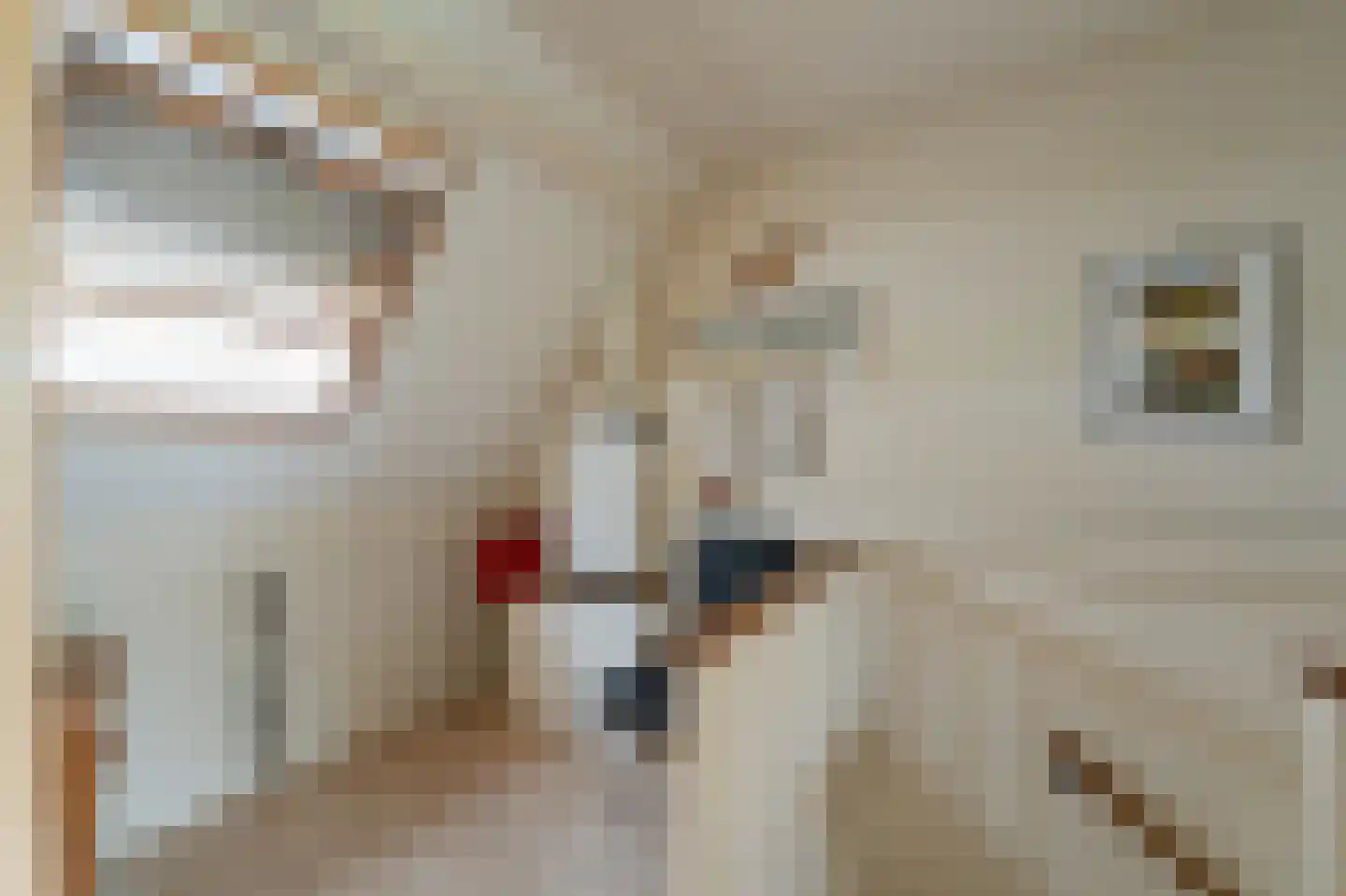 Lemsterweg 30 C Rutten thumbnail 33