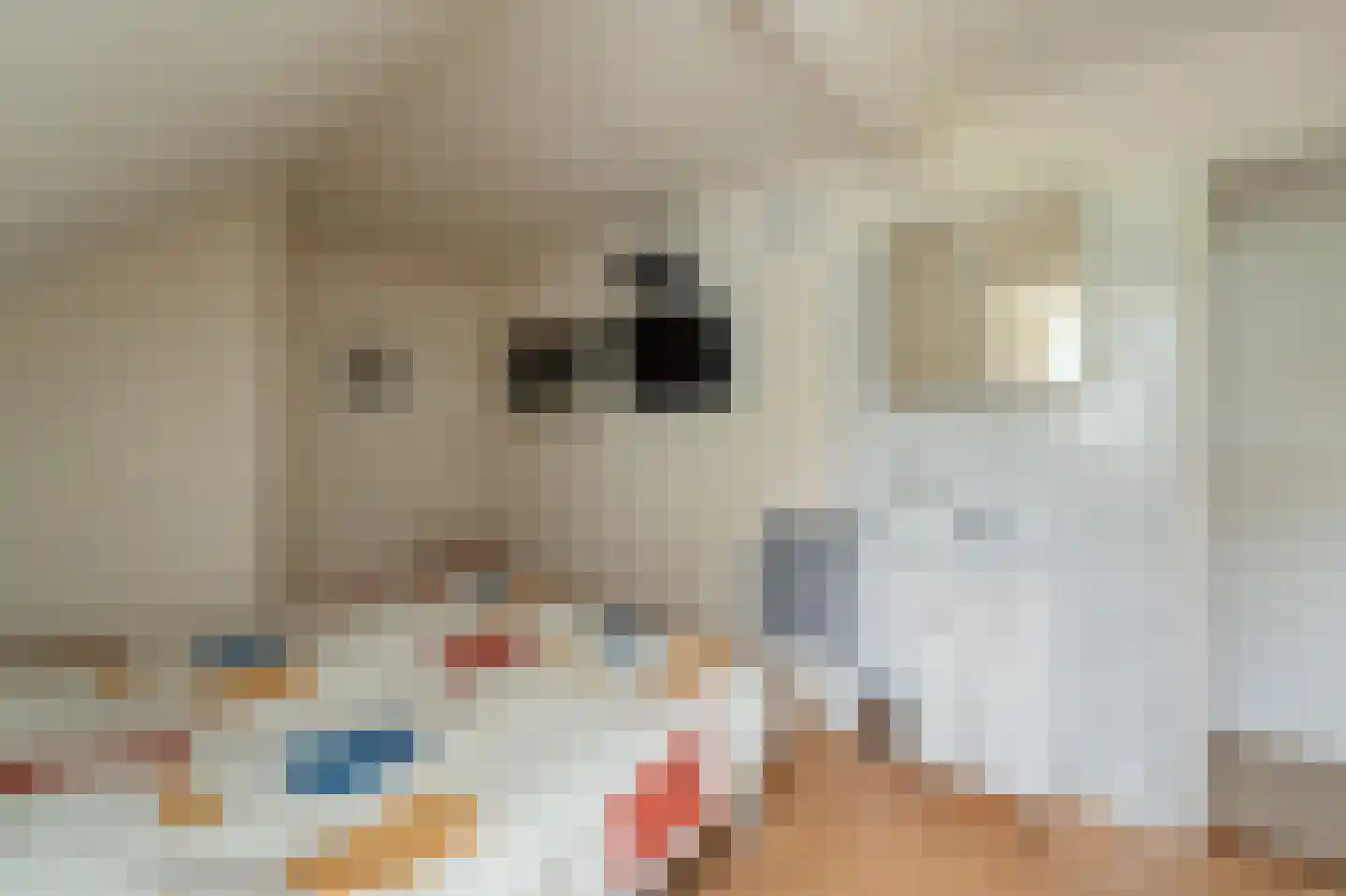 Lemsterweg 30 C Rutten thumbnail 36