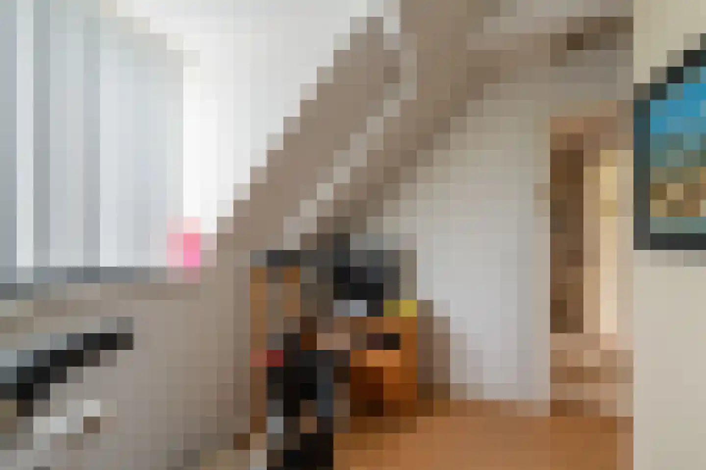 Lemsterweg 30 C Rutten thumbnail 39