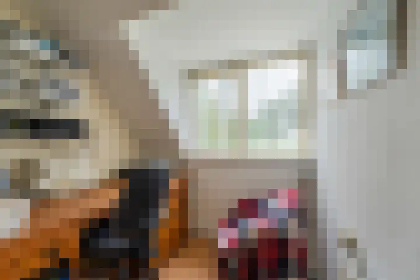 Lemsterweg 30 C Rutten thumbnail 40