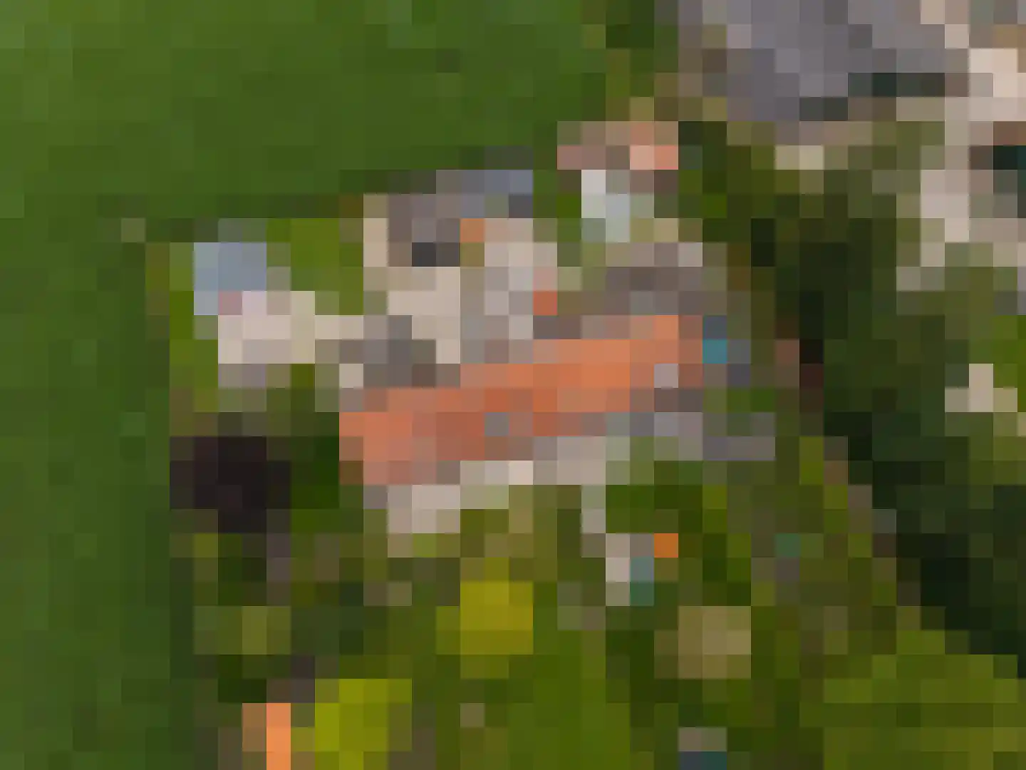 Lemsterweg 30 C Rutten thumbnail 6