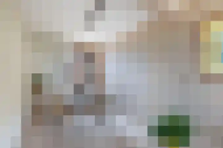 Lemsterweg 32 C Rutten thumbnail 10