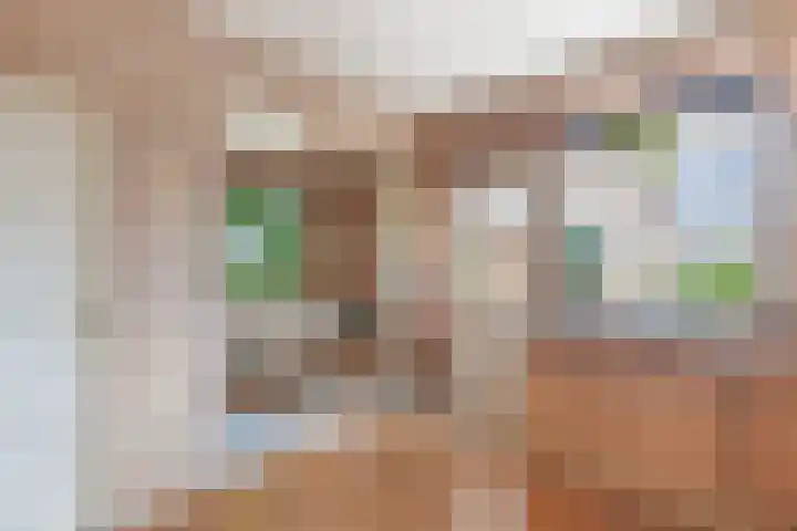 Lemsterweg 32 C Rutten thumbnail 15