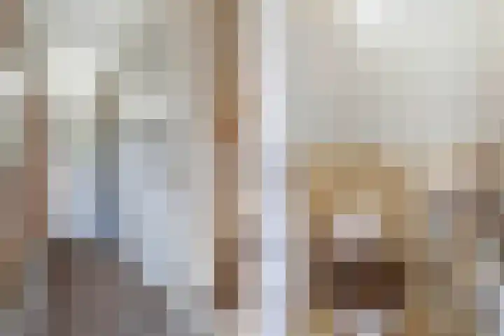 Lemsterweg 32 C Rutten thumbnail 22