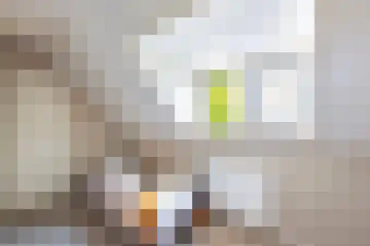 Lemsterweg 32 C Rutten thumbnail 28