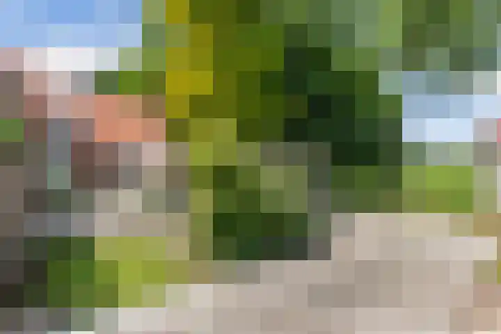Lemsterweg 32 C Rutten thumbnail 37
