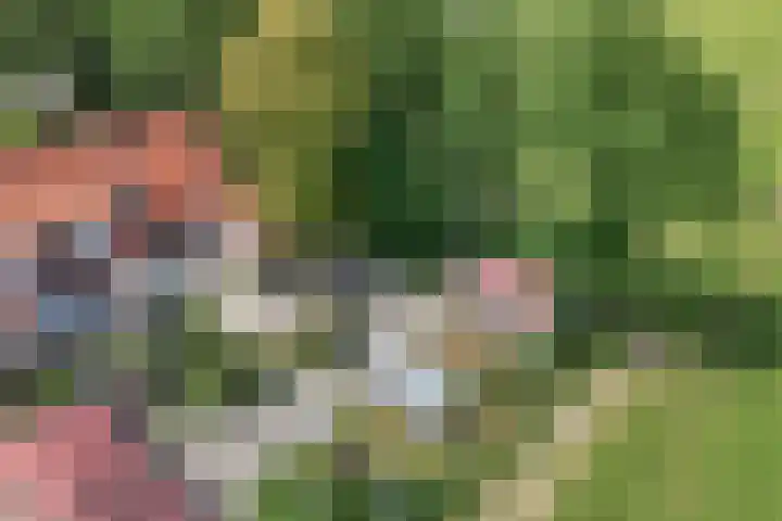 Lemsterweg 32 C Rutten thumbnail 39