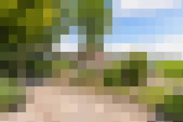 Lemsterweg 32 C Rutten thumbnail 40