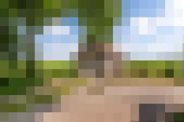 Lemsterweg 32 C Rutten thumbnail 41
