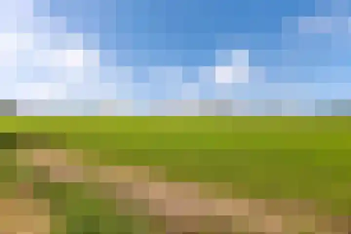 Lemsterweg 32 C Rutten thumbnail 42
