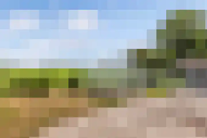 Lemsterweg 32 C Rutten thumbnail 43