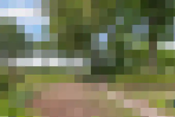 Lemsterweg 32 C Rutten thumbnail 46
