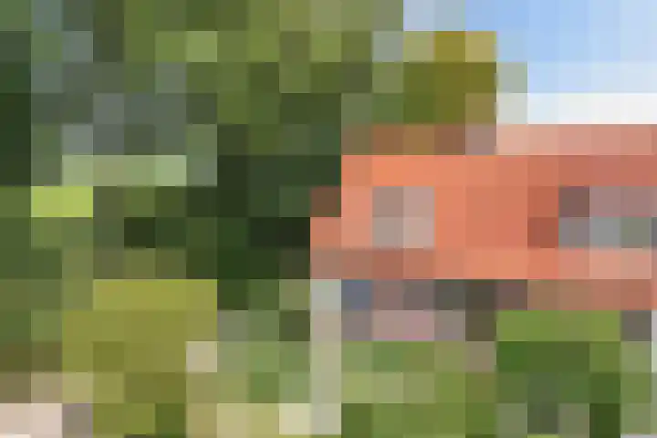 Lemsterweg 32 C Rutten thumbnail 48
