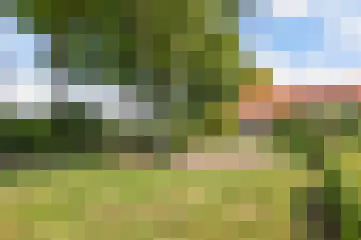 Lemsterweg 32 C Rutten thumbnail 49