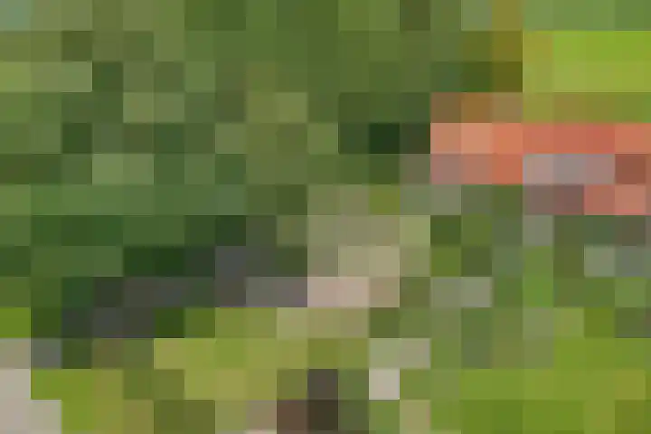Lemsterweg 32 C Rutten thumbnail 50