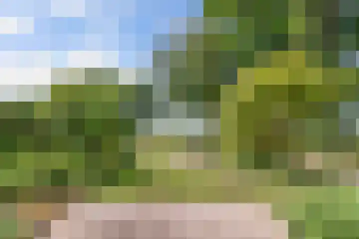 Lemsterweg 32 C Rutten thumbnail 8