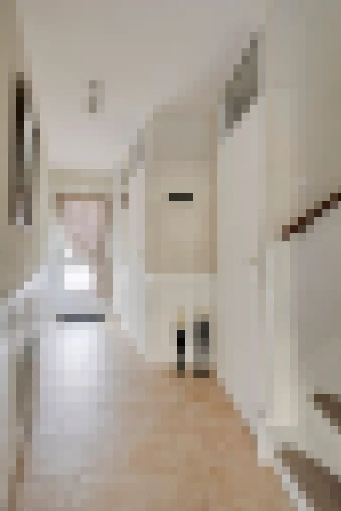 Lena Blok-Woutsstraat 33 Rotterdam thumbnail 6