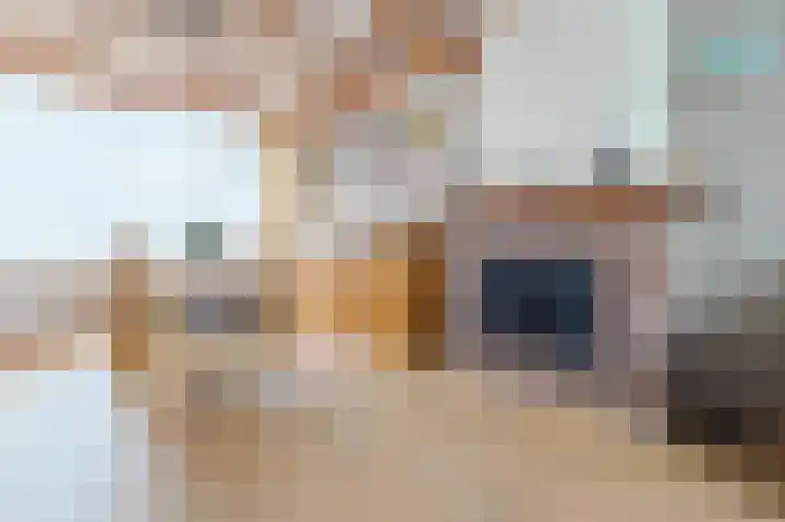 Lenaertsstraat 45 Wouw thumbnail 10