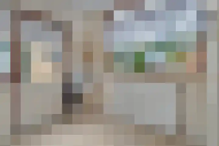 Lenaertsstraat 45 Wouw thumbnail 16