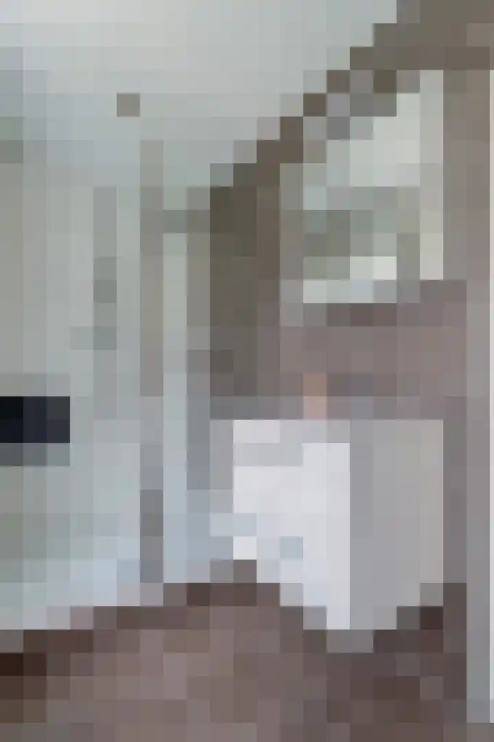 Lenaertsstraat 45 Wouw thumbnail 20