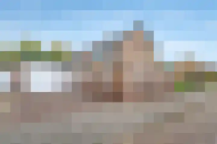 Lenaertsstraat 45 Wouw thumbnail 30