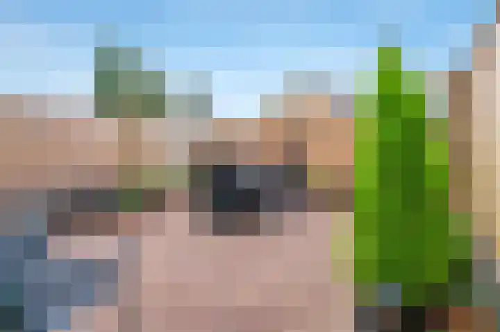 Lenaertsstraat 45 Wouw thumbnail 32