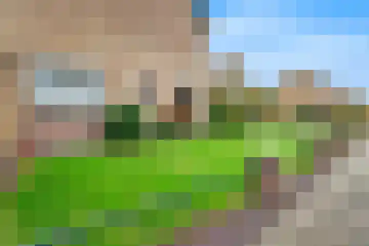 Lenaertsstraat 45 Wouw thumbnail 38