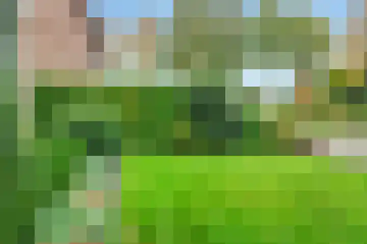Lenaertsstraat 45 Wouw thumbnail 39