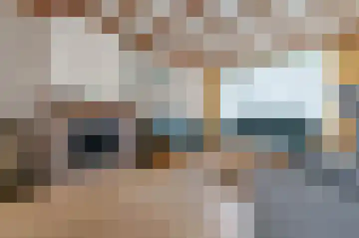 Lenaertsstraat 45 Wouw thumbnail 4