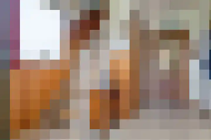 Lenaertsstraat 45 Wouw thumbnail 7