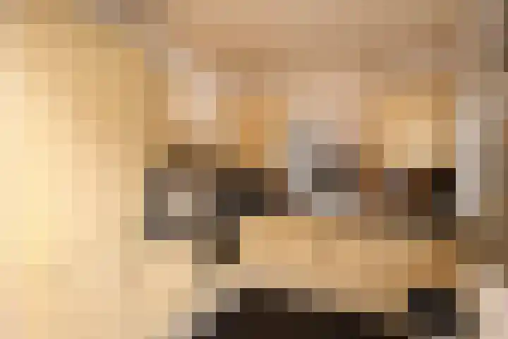 Lenaertsstraat 7 Wouw thumbnail 11