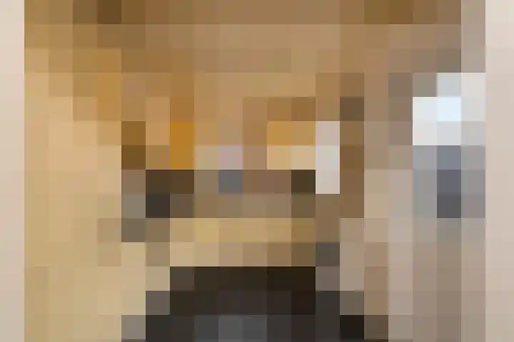 Lenaertsstraat 7 Wouw thumbnail 12