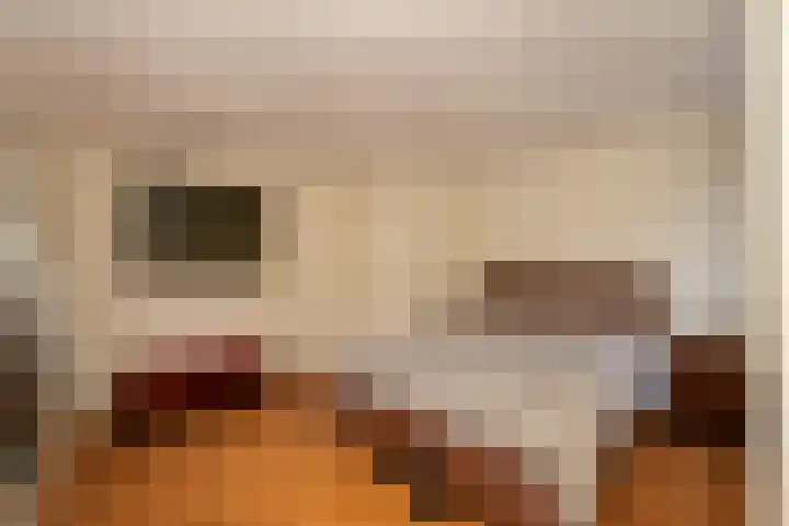 Lenaertsstraat 7 Wouw thumbnail 16