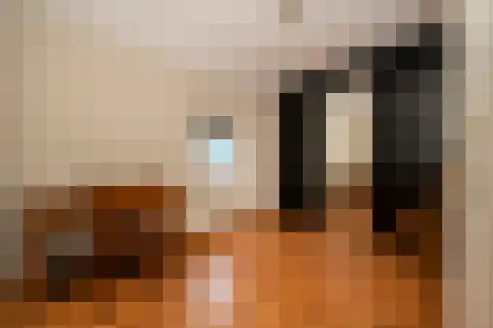 Lenaertsstraat 7 Wouw thumbnail 18