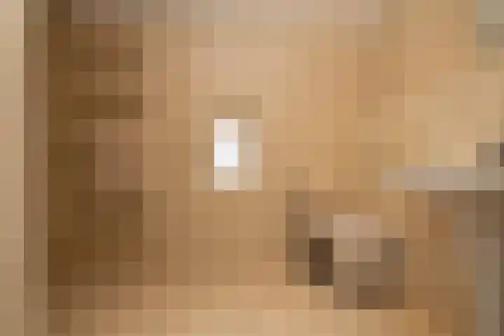 Lenaertsstraat 7 Wouw thumbnail 19