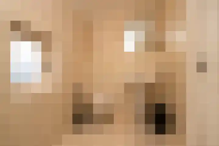 Lenaertsstraat 7 Wouw thumbnail 21