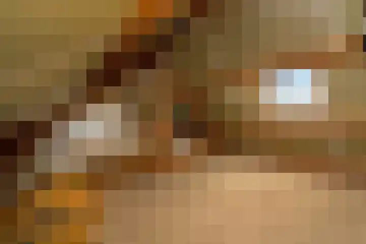 Lenaertsstraat 7 Wouw thumbnail 23