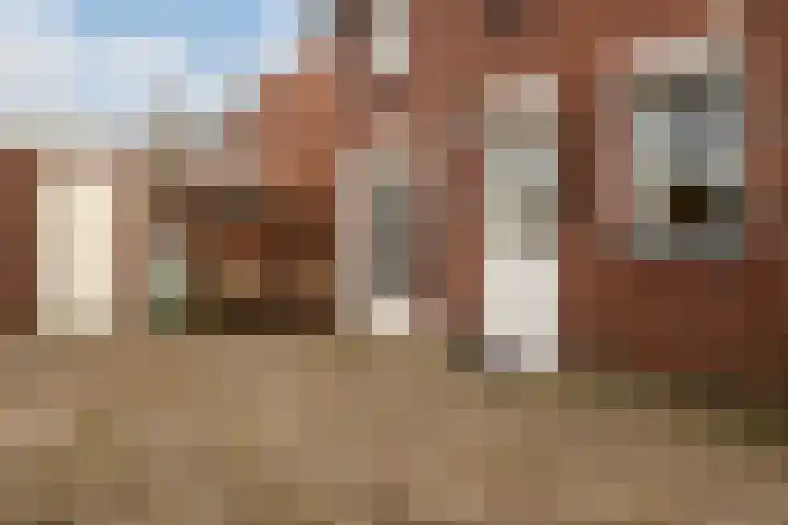 Lenaertsstraat 7 Wouw thumbnail 29