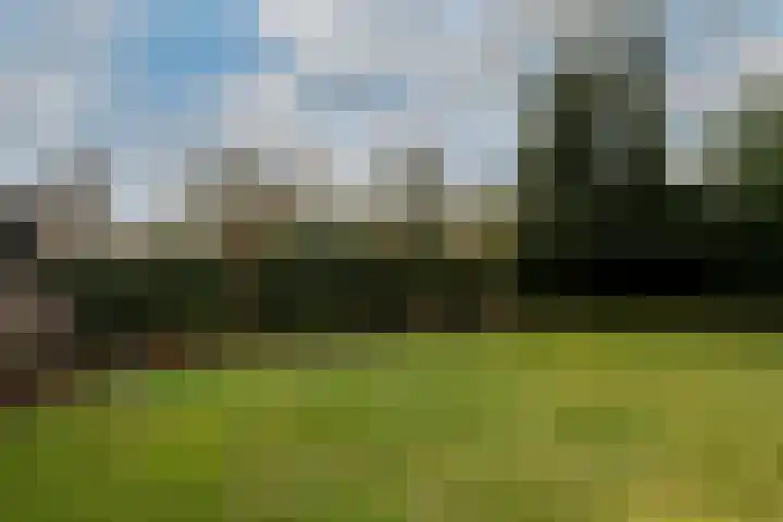 Lenaertsstraat 7 Wouw thumbnail 30