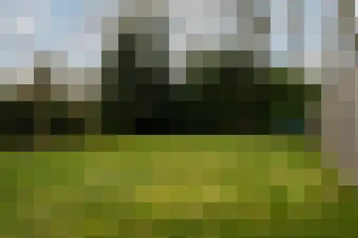 Lenaertsstraat 7 Wouw thumbnail 31