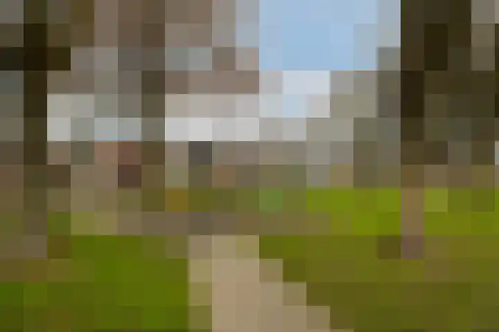 Lenaertsstraat 7 Wouw thumbnail 32