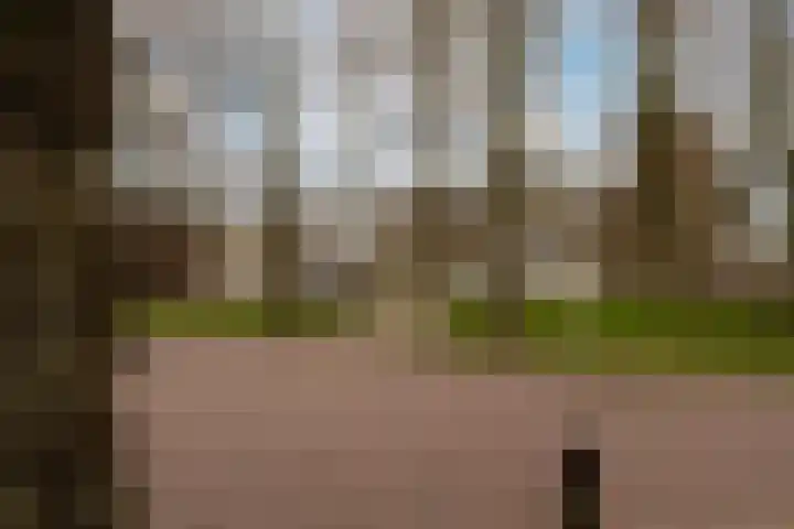 Lenaertsstraat 7 Wouw thumbnail 33