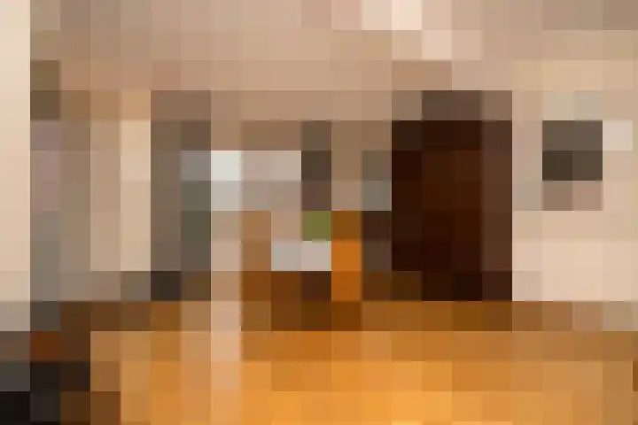 Lenaertsstraat 7 Wouw thumbnail 7
