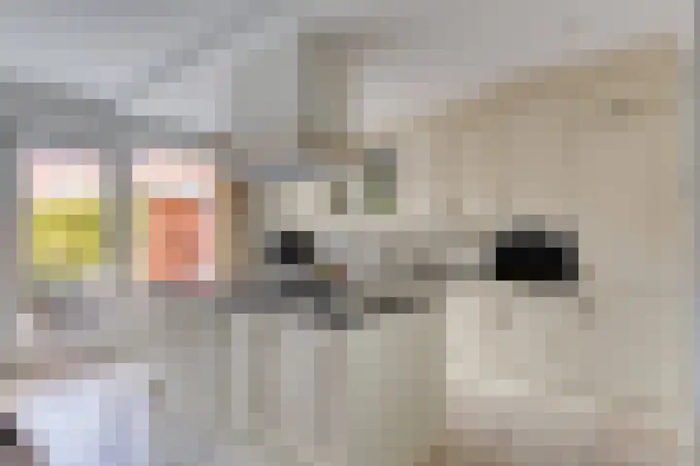 Lenastroom 29 Zoetermeer thumbnail 11
