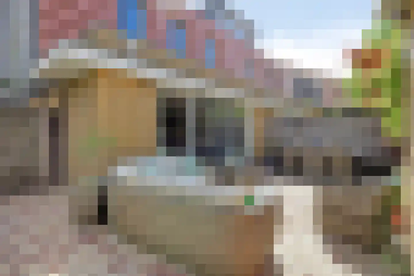 Lenastroom 29 Zoetermeer thumbnail 16