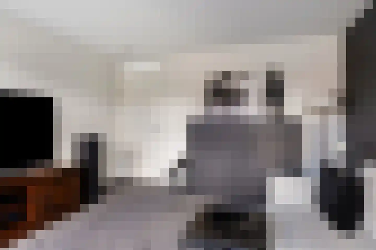 Lenastroom 29 Zoetermeer thumbnail 28